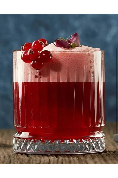 Snow Homs Set of 6 Water & Whiskey Glasses - Stylish and Elegant Soft Drink Glass Design, Durable Glass