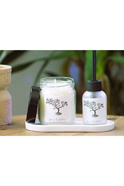 PARFÜM VE AKSESUAR 3lü Koku Giderici Banyo Oda Kokusu Sandal Ağacı Wood 50 ml Kavanoz Parafin Mum 210cc(KOKUSUZ) Altlık