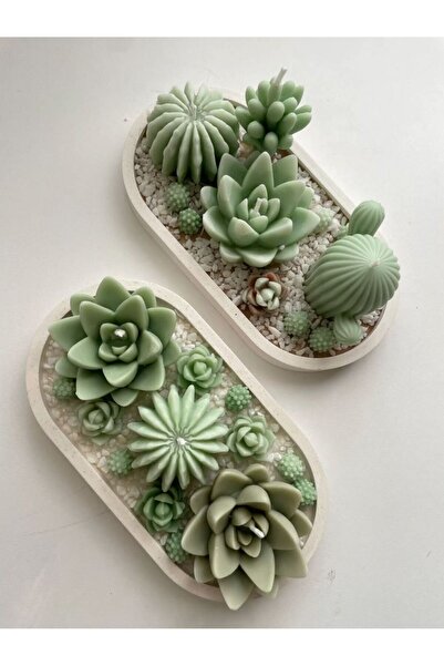 SOLARA Dekoratif Hediyelik Sukulent Mum