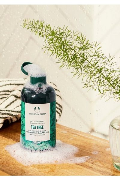 THE BODY SHOP SAMPON PURIFICATOR ECHILIBRANT TEA TREE 250 ML