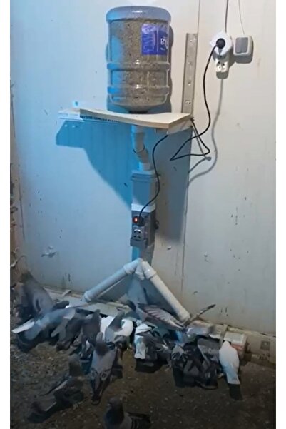 Home Otomatik Tavuk Güvercin Yemliği