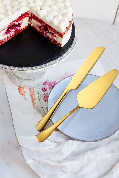 Weather Forecast Steel Gold Pastry Spatula Knife Set Cake Presentation cin512sr