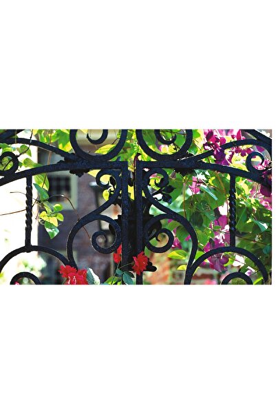 Marshall Hammerite Pas Üstü Metal Boyası Düz Beyaz 0,75lt