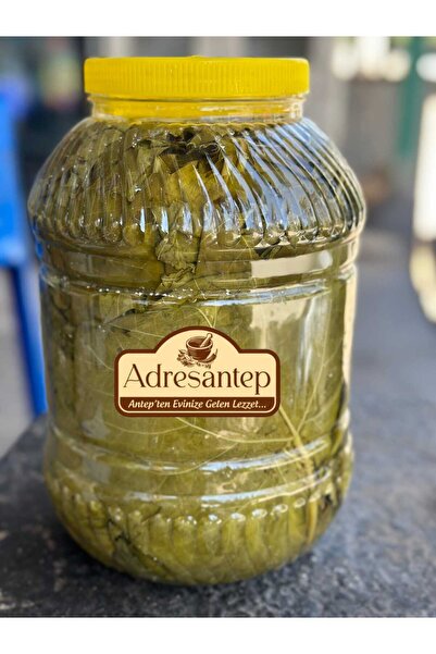 Adresantep Yaprak Salamura Manisa Uç Yaprak Net 1500 gr