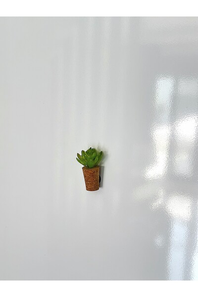 Mushroom Magnet-Succulent
