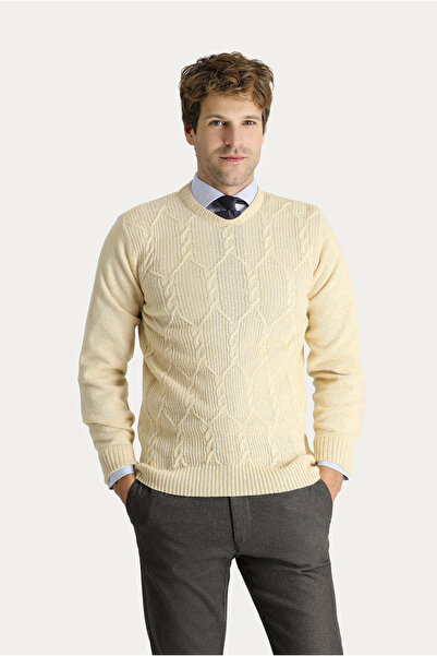 Kiğılı Bisiklet Yaka Slim Fit Dar Kesim Yünlü Desenli Pamuklu Triko Kazak