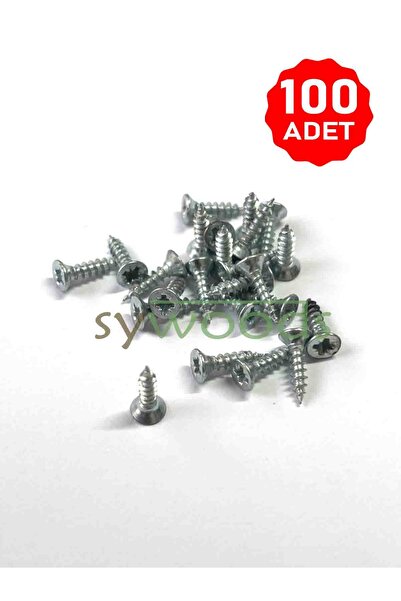 sywoods Sunta vidası ince 2.5x10 mm 100 adet çinko renk