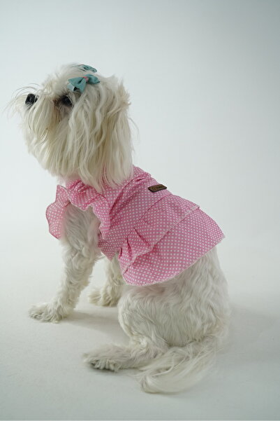 PATİLİNKA Puantiyeli Kedi Köpek Poplin Elbise