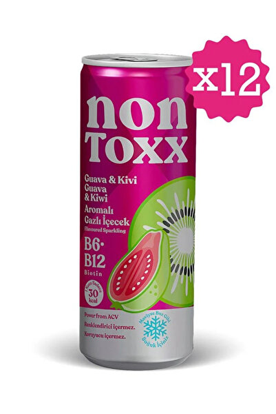 NON TOXX Guava & Kivi Aromalı Sirkeli Gazlı İçecek 250 ml 12 li Paket (Koli)