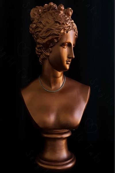 SEVGİLİ TAKI Auger Model Choker Steel Chain Necklace - Choker Series