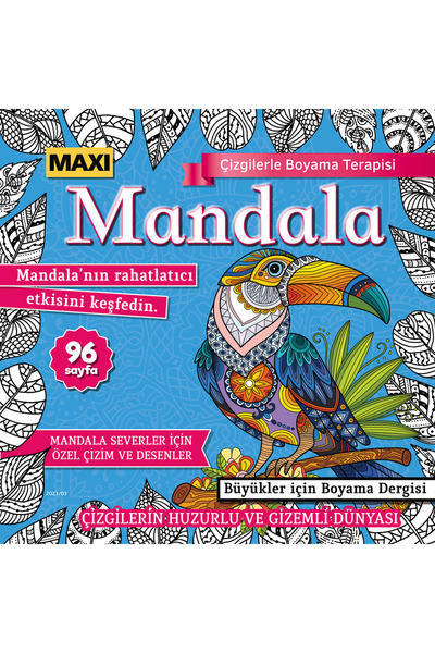 MAXİ Maxi Mandala Çizgilerle Boyama Terapisi 011