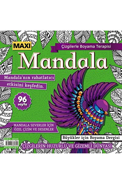 MAXİ Mandala Çizgilerle Boyama Terapisi 009