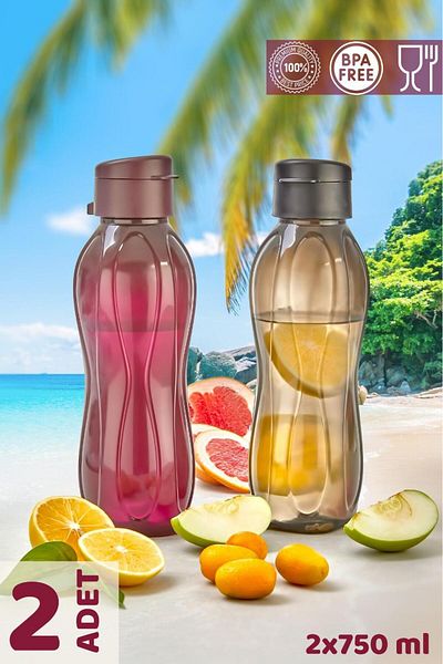 HOMENIVA 2 Pack Eco Bottle Water Bottle - Practical Lid Flask 2x 750 ml Black - Purple