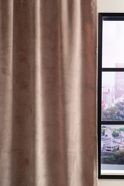Premier Home Velvet Background Curtain 140X270 Beige