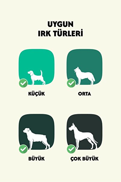 WULF Koç Boynuz %100 Doğal Çiğneme Ödülü 2 Adet