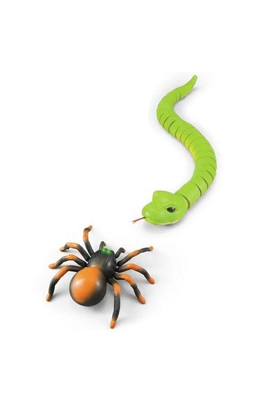 indiggo Set Interactive Toys for Children, Snake and Spider with Remote Control