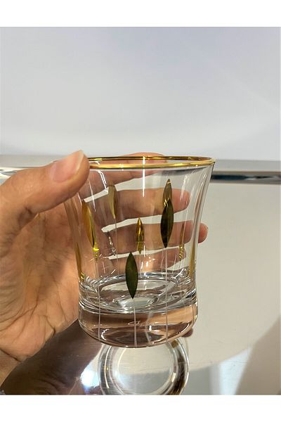 DECOSTYLE Pashabahçe 420014 240 Cc Handwork Decorated Water Cup 6 Li