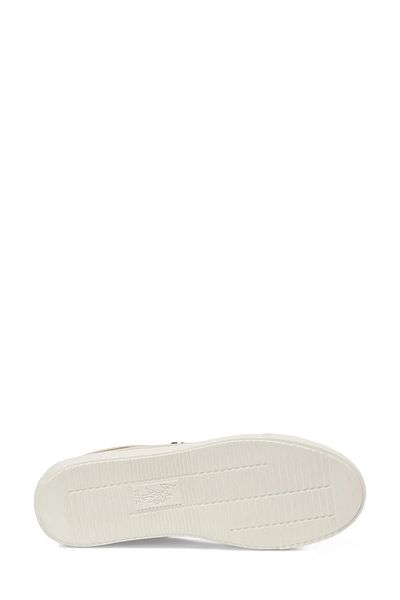 U.S. Polo Assn. Women's Beige Color Sneaker