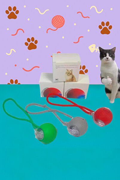 Miyamiss Yeni Nesil Hareketle Aktifleşen, Sensörlü, Şarjlı Akıllı Kedi & Köpe...