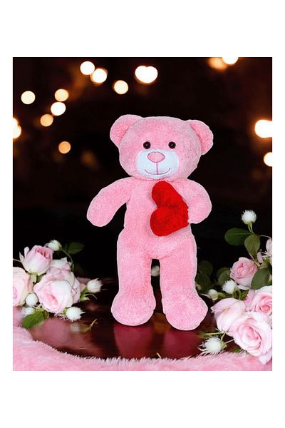 Canestar Plush Teddy Bear with Heart - Very Special Heart Gift Plush Teddy Bear for Lover