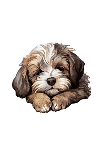 INOVATIX Set de 8 piese, autocolant Havanese, INOVATIX®. 6 cm