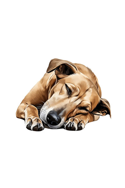 INOVATIX Set of 8 pieces, Sticker Greyhound, INOVATIX®. 6 cm