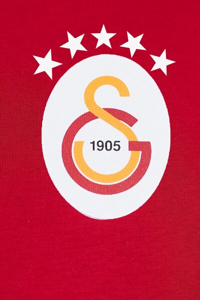 Galatasaray Orijinal 5 Yıldız Parçalı Forma T-Shirt Atkı Hediyeli