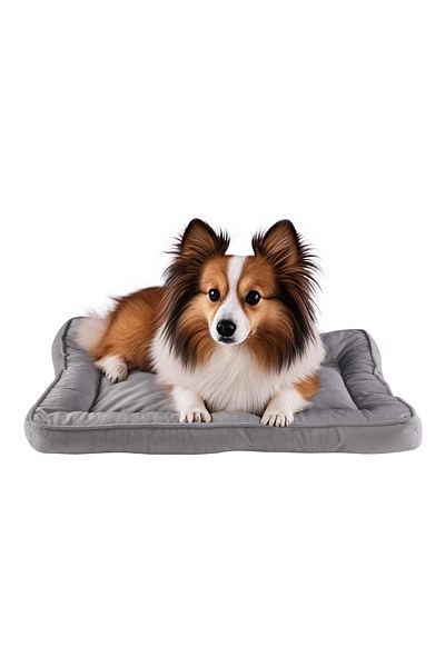 Kiwari Pat pentru animale Culcus, 59x40x5 cm, 100% poliester, material velur, gri