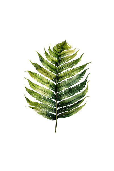 INOVATIX Set de 8 piese, autocolant cu frunze de ferigă închisă la culoare, I...