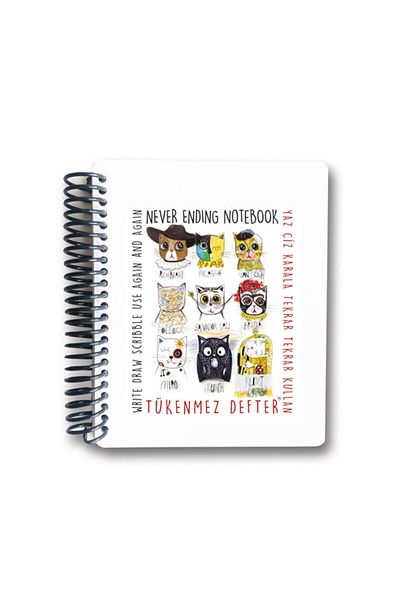 Akademi Yayınları Ballpoint Notebook - 4 (Ressam Cats) - 13x16 cm