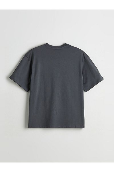 LC Waikiki Crew Neck Printed Combed Cotton Men's T-Shirt