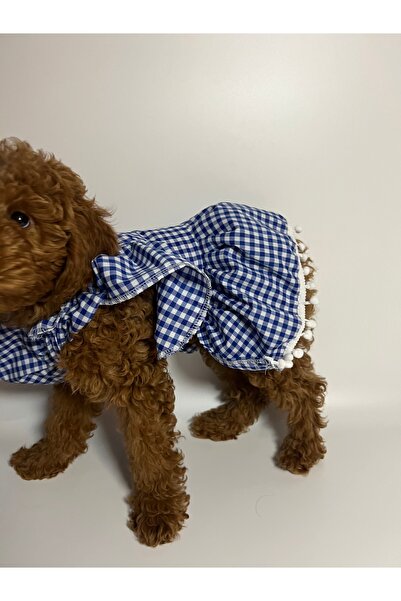 Butik Köpek elbise