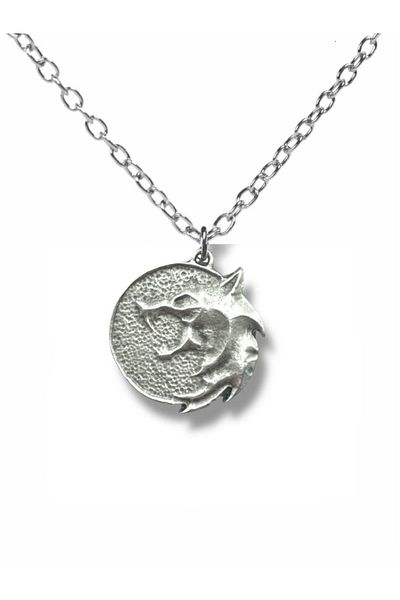 Herşey Nota The Witcher Unisex Necklace with Locket Figure | Fantastic Accessory with 60 cm Chain