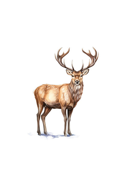 INOVATIX Set of 8 pieces, Deer Sticker, INOVATIX®. 6 cm