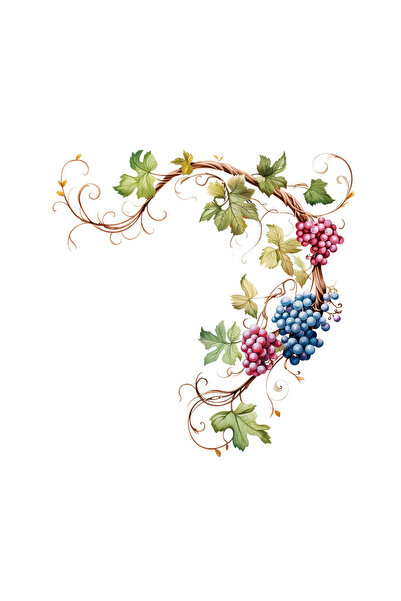 INOVATIX Set de 8 piese, autocolant creangă cu struguri negri și roz, INOVATI...