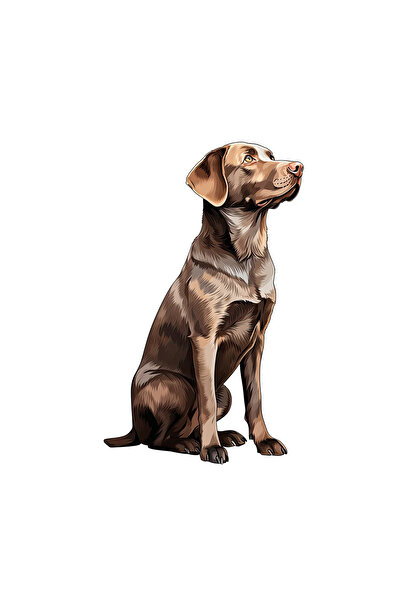 INOVATIX Set de 8 piese, autocolant câine Labrador Retriever, INOVATIX®. 6 cm