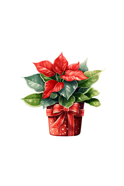 INOVATIX Set de 8 bucăți, autocolant Flori de Crăciun Alicia, INOVATIX®. 6 cm