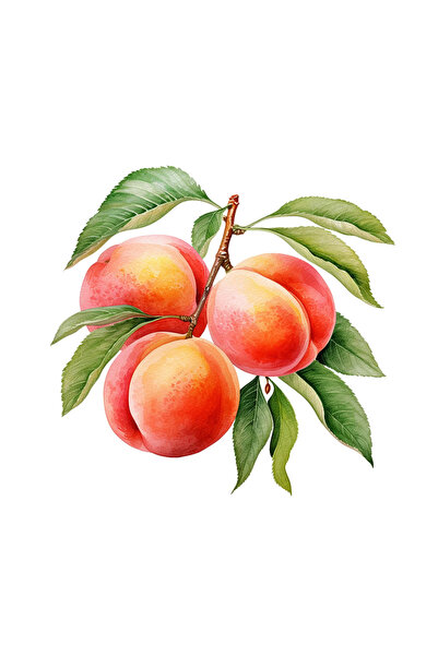 INOVATIX Σετ 8 τεμαχίων, Αυτοκόλλητο με Κλαδί Ροδάκινου, INOVATIX®. 6 εκ.