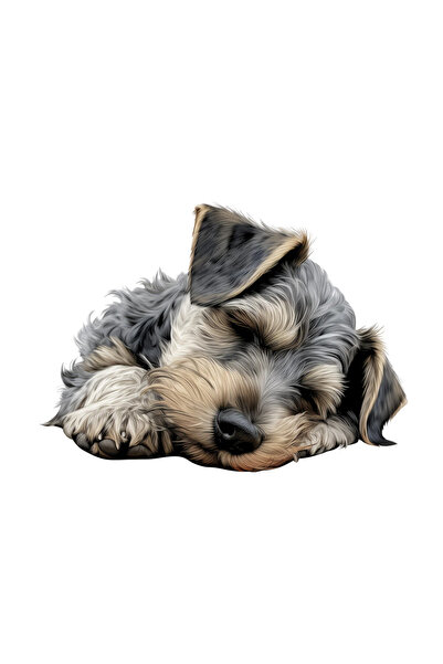 INOVATIX Σετ 8 τεμαχίων, αυτοκόλλητο Cesky Terrier, INOVATIX®. 6 εκ.