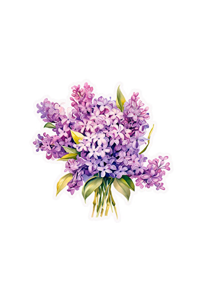 INOVATIX Σετ 8 τεμαχίων, Αυτοκόλλητο Rossa με λουλούδια λιλά, INOVATIX®. 6 εκ.