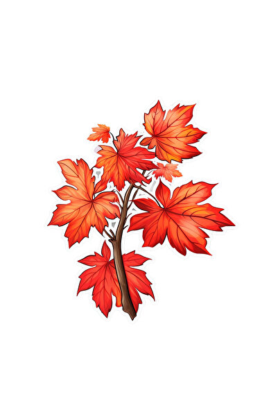 INOVATIX Set of 8, Autumn Colors Sticker, INOVATIX®. 6 cm