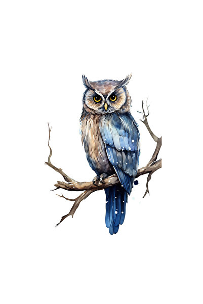 INOVATIX Set de 8 piese, autocolant bufniță nervoasă, INOVATIX®. 6 cm