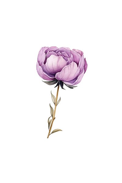 INOVATIX Set of 8 pieces, Dark Peony Sticker, INOVATIX®. 6 cm
