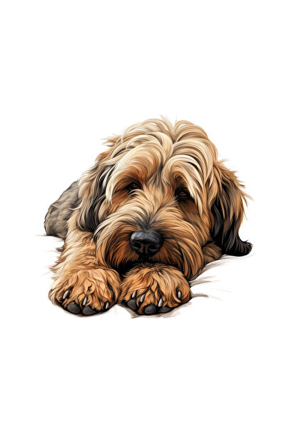 INOVATIX Set of 8 pieces, Sticker Briard, INOVATIX®. 6 cm