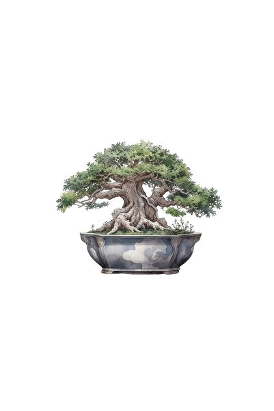 INOVATIX Set de 8 piese, autocolant Bonsai Leia, INOVATIX®. 6 cm