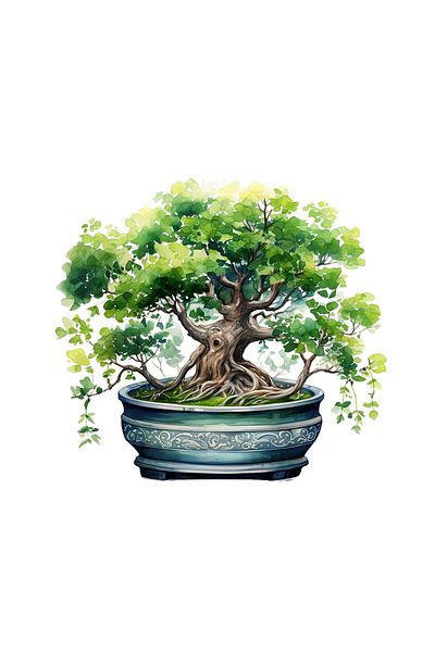 INOVATIX Set de 8 piese, Autocolant Bonsai Democritus, INOVATIX®. 6 cm