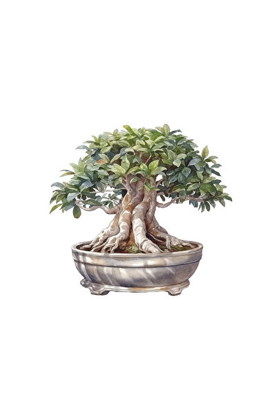 INOVATIX Set de 8 bucăți, autocolant Bonsai Rebeca, INOVATIX®. 6 cm