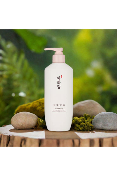 The Face Shop Yehudam Body Scrub | The Face Shop