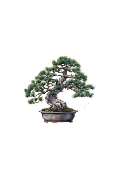 INOVATIX Set de 8 bucăți, autocolant Bonsai Ruth, INOVATIX®. 6 cm
