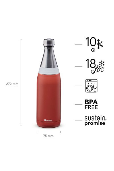 Aladdin Sticlă de apă izolată Aladdin Fresco Thermavac – Sticlă cu perete dublu din oțel inoxidabil – 0,6 L